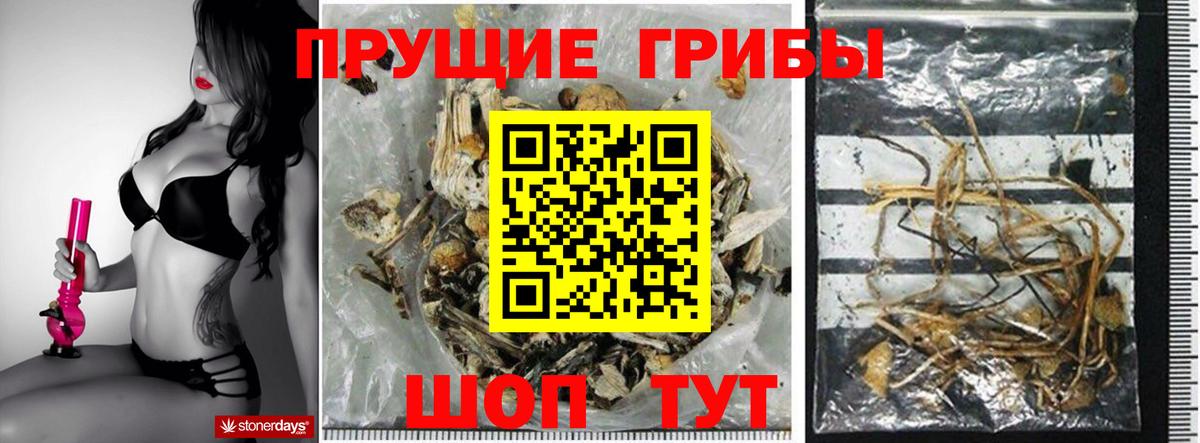 Менделеевск  Галлюциногенные грибы MAGIC MUSHROOMS  Вход с VPN 